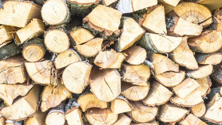 Firewood