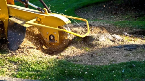 Stump Grinding 1