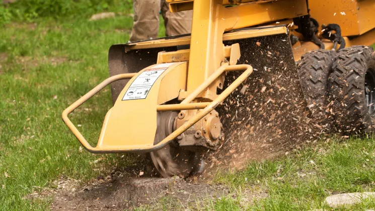 Stump Grinding